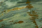 Gary Green Jasper (Larsonite) Bog Wood Slab - Oregon #377693-1